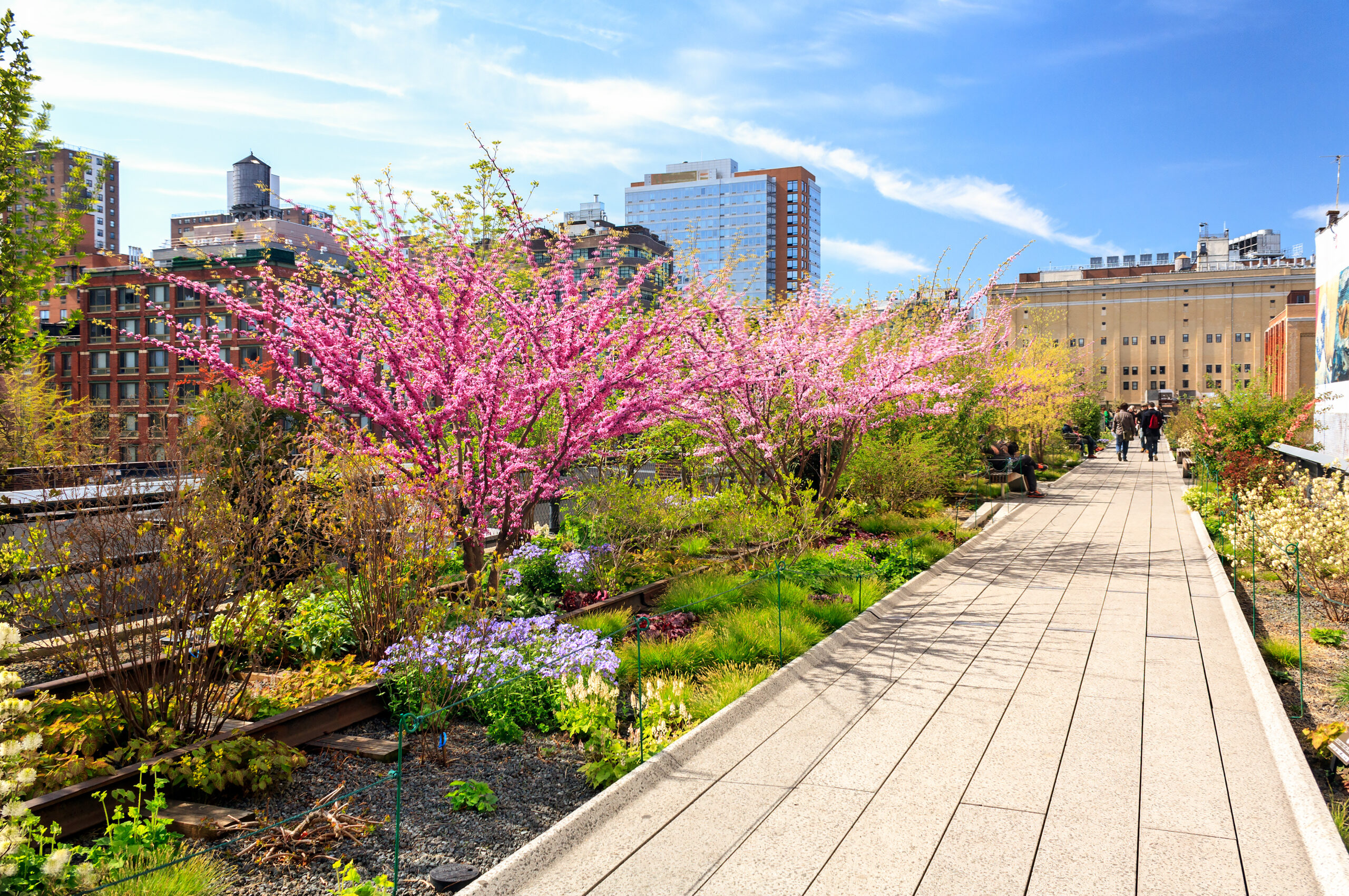 High Line Park, New York City, New York (Foto: Adobe Stock)